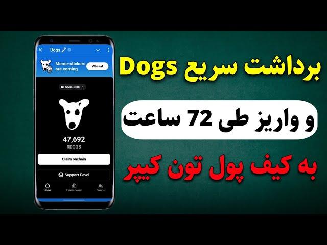 برداشت سریع توکن Dogs و واریز طی 72 ساعت به کیف پول تون کیپر