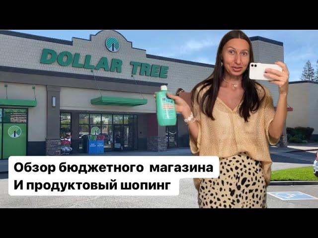 Обзор Бюджетного магазин Dollar tree для дома в США | цены на продукты в Америке