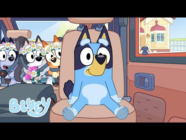 El cartel  | Serie 3 | Bluey Español Canal Oficial