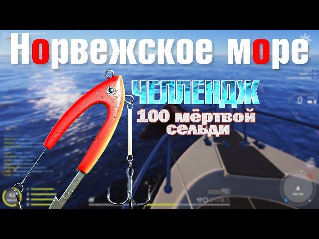 Челлендж 100 мертвой сельди • Гига-джиг с мертвой рыбой • Норвежское Море • Русская Рыбалка 4