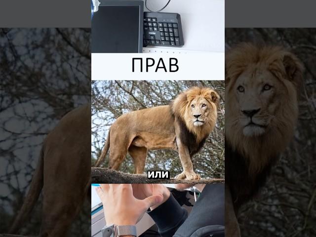 А как Вы думаете клиент всегда прав?#apple #iphone #ремонт #москва #сервис #macbook #айфон #android