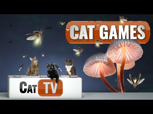 CAT TV | Fireflies in Mystical Lands | Cat TV Bug Videos For Cats to Watch | Relax my Cat 