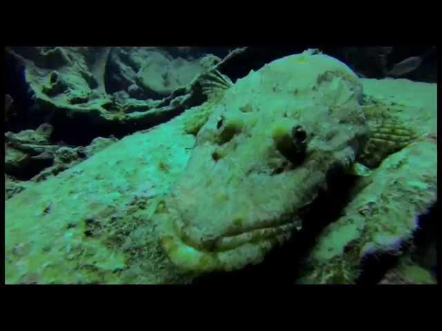 WRECK SS Thistlegorm