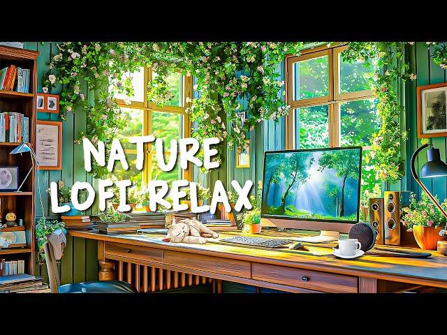 Nature Lofi Relax  Dive into Relaxing Lofi Beats and Chill ~ Lofi for Study/Work/Relax