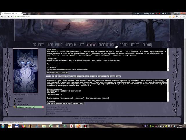CatWar что такое активность и как ее повышать