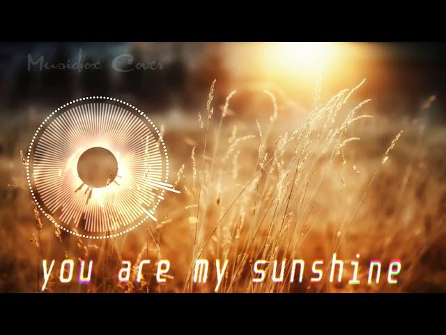 [Music box Cover] You Are My Sunshine