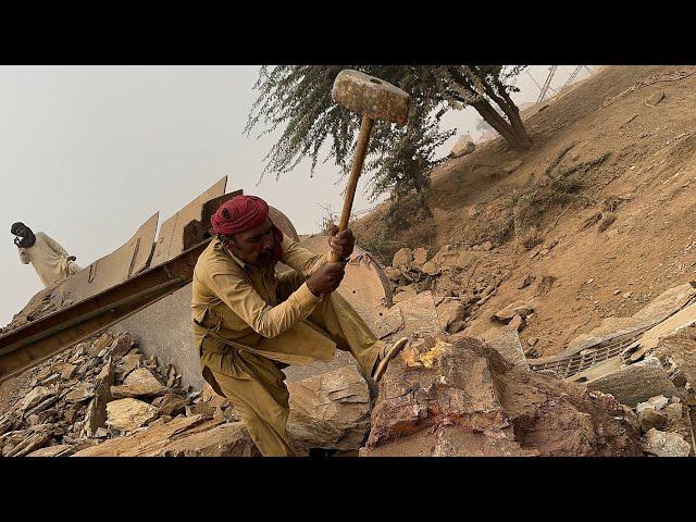 Big Rock Crusher Machine A Gaint In Action | Jaw Crusher Plant #trending #viralvideo #foryou #usa