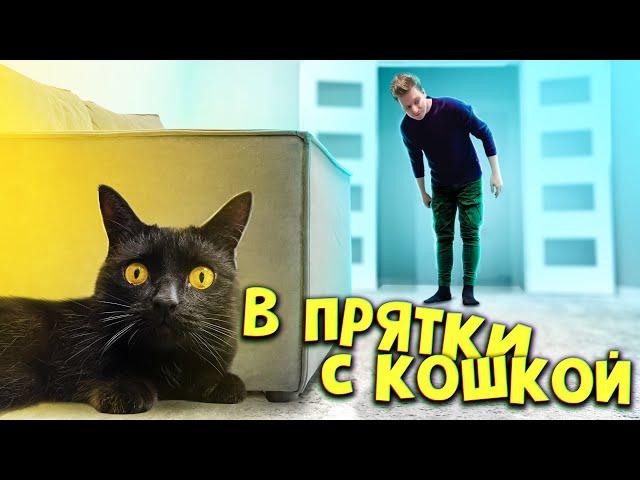 Играем в прятки с кошкой Соней  / SANI vlog