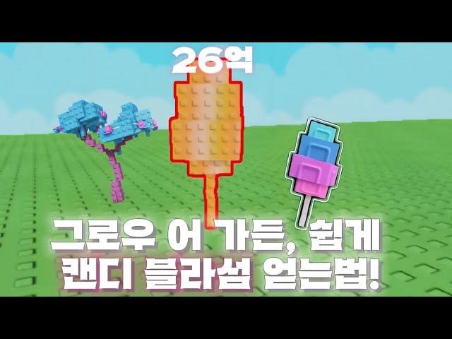 모두가 얻고싶은 "캔디 블라섬" 얻는방법! [로블록스 그로우 어 가든]