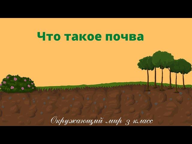 Что такое почва. Окружающий мир 3 класс