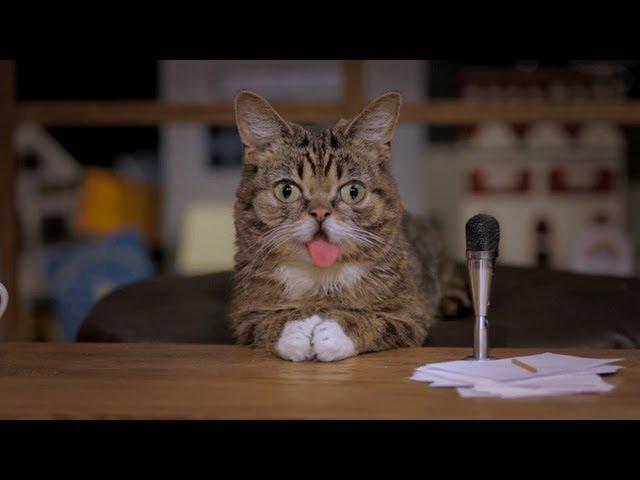 Lil BUB's Big SHOW Episode 1:  WHOOPI GOLDBERG