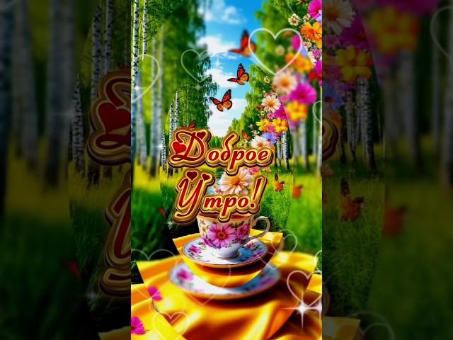 Доброе утро #музыкальныеоткрытки #доброеутро#новыйдень