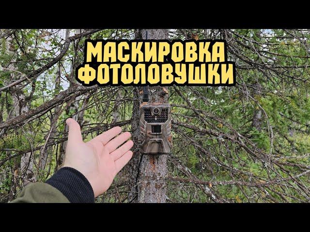 Как правильно замаскировать фотоловушку?