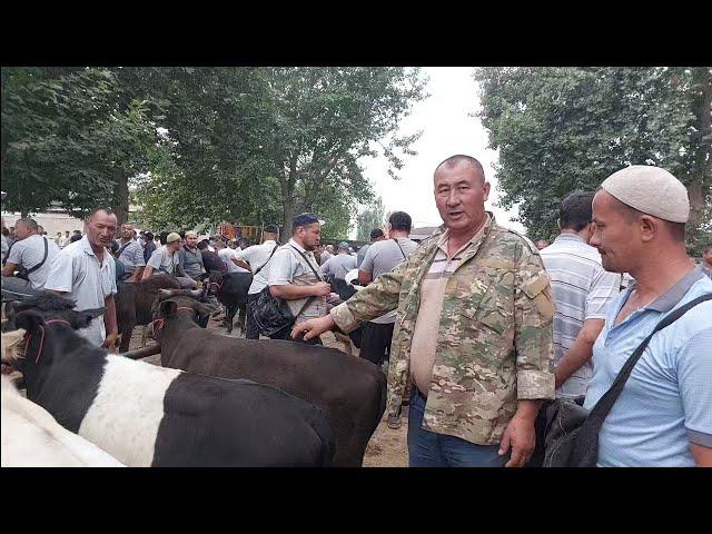 Uchkõprik tumani Qõqonboy mol bozori semiz boqma va yosh buqalar narhlari 13.07.2024yil