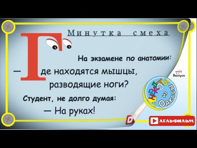 Минутка смеха Отборные одесские анекдоты 771_й выпуск