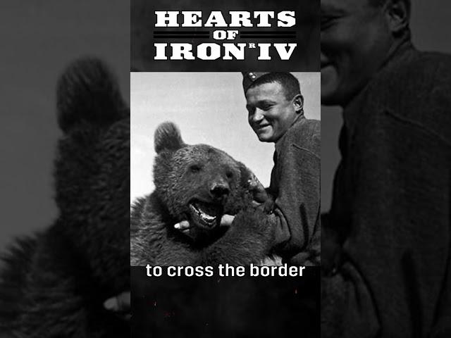 The Legend of Wojtek #hoi4