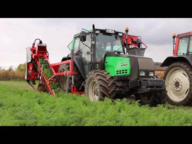 Carrot harvester DEWULF P3K PROFI with elevator  - Andershornstein AB Sweden