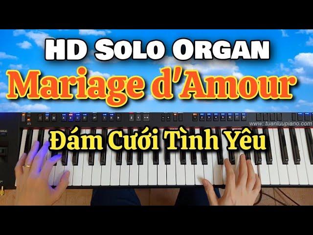 Đám Cưới Tình Yêu - Hướng Dẫn Solo Organ - Cách Tự Học Dễ Nhất Cho Người Lớn Tuổi. Tuan Luu Organ