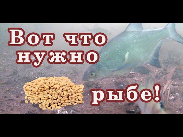 Посмотрите-Собирает стаи рыб! Не тратьте ЗРЯ ДЕНЬГИ! Супер дешёвая и Результативная зимняя прикормка