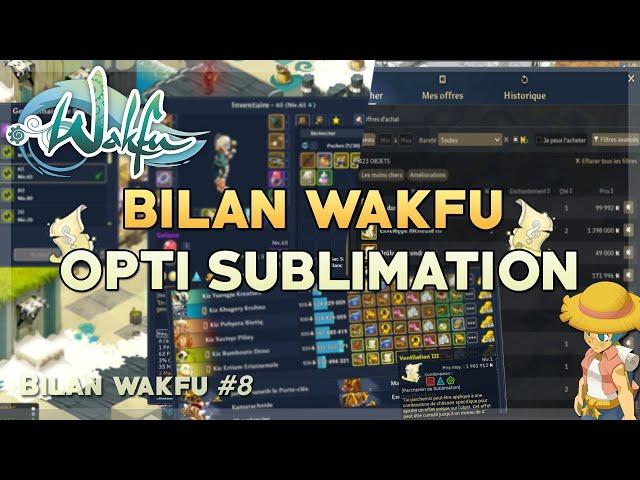 BILAN AVENTURE WAKFU #8 - FARM DE SUBLIMATION, OPTIMISATION DES TRANCHES & RUSH DE KAMAS !