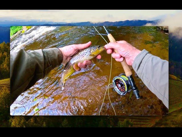 Fly Fishing with Davie McPhail August 2024