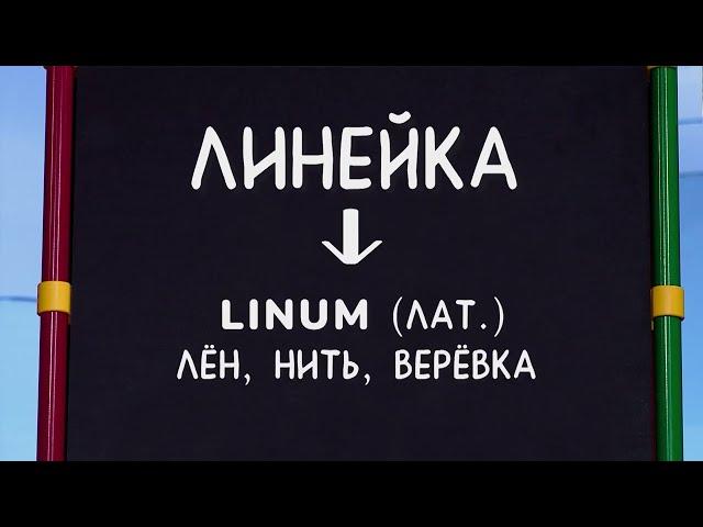 ️С добрым утром, малыши! Линейка - Слова-ловушки