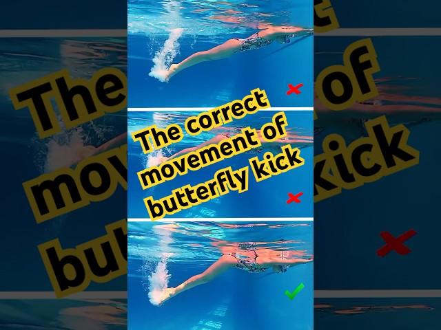 The correct movement of butterfly kick  #Swimup #Swimming #LearnToSwim #SwimTraining