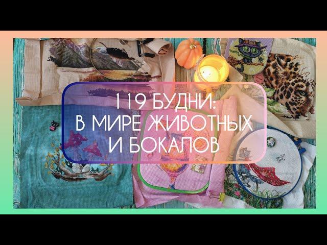 ️ 119 БУДНИ: В МИРЕ ЖИВОТНЫХ И БОКАЛОВ #вышивкакрестом