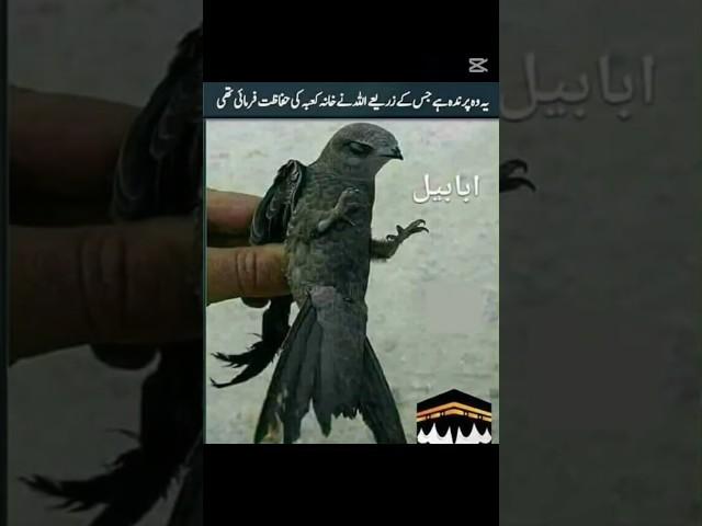 #prophet #paigambar #hazrat Mohammed sahab ka saman Mubarak #subhanallah #shortsfeed #viralvideo
