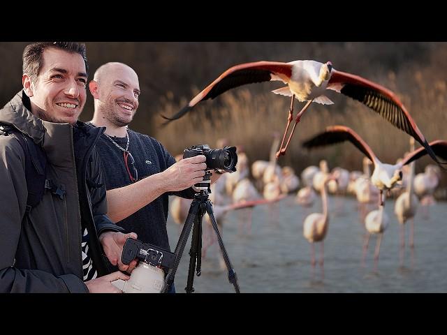 Une journée avec @DamienBernal : Photo animalière