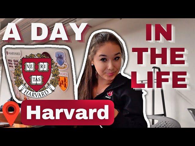 A Day in the Life of a Harvard Student