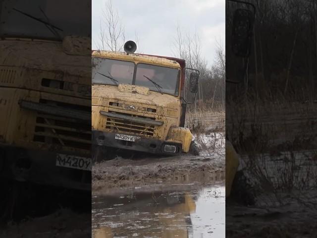 Его вообще реально засадить?? #краз #грузовик #6х6 #offroad #бездорожье #не_тормози