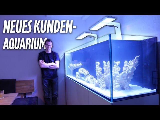 Kunde bekommt NEUES AQUARIUM - Wir bauen das DD 1800 auf *PlanktonPlus Aquaristik*