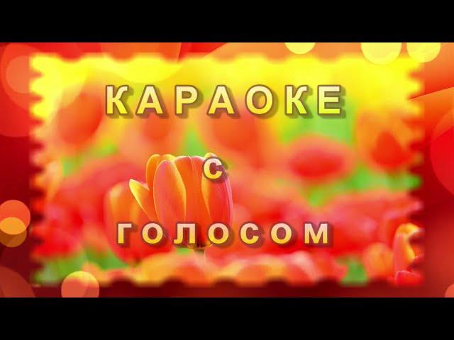 ВЕЧНЫЙ ОГОНЬ. муз. А.Филиппенко. КАРАОКЕ с голосом. Исполняет Агаева Вероника.