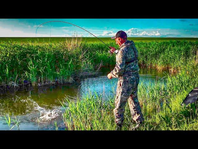 Рыбалка из детства, в селе, где я родился и вырос. Линь, карась, щука! Путешествие по родным местам