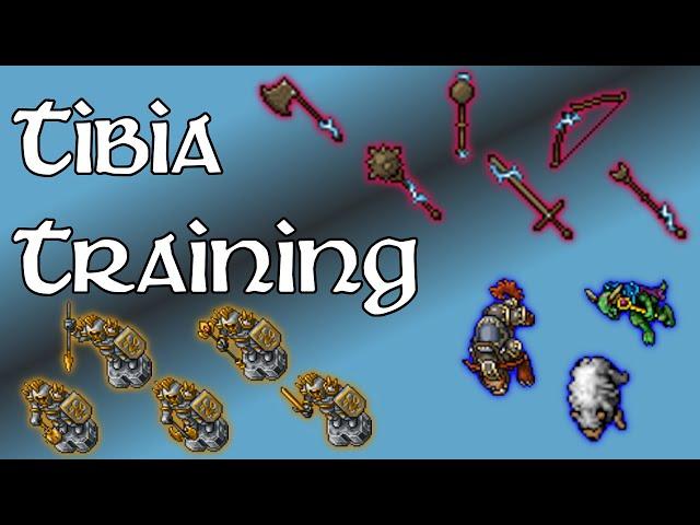 Tibia - Training (2024)