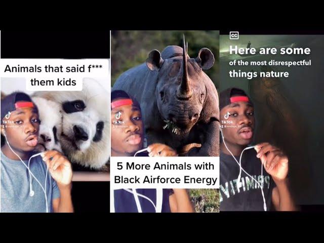 Nature is so Disrespectful (Mndiaye_97 TikTok Compilation)