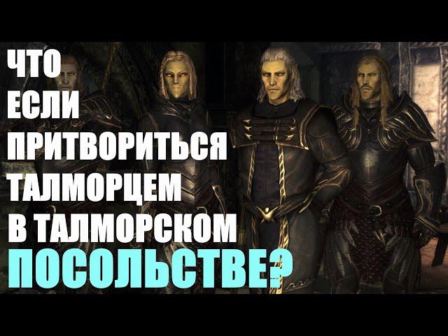 Что Будет Если Притвориться ТАЛМОРЦЕМ в Талморском Посольстве? Skyrim