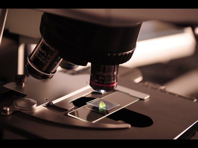 ALS YouTube Video | Wiki Audio Article: What is ALS? What is Lou Gehrig's? Science Explained