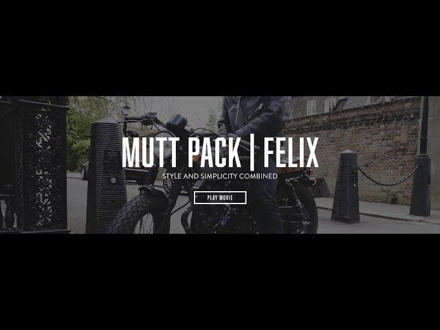 Mutt Pack | Felix