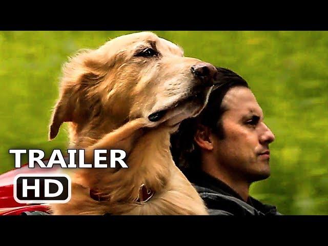 THE ART OF RACING IN THE RAIN Trailer (2019) Romantic Comedy Movie