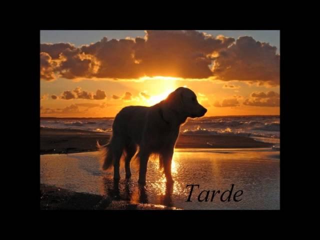 Tarde Tango - Norma Hernandez