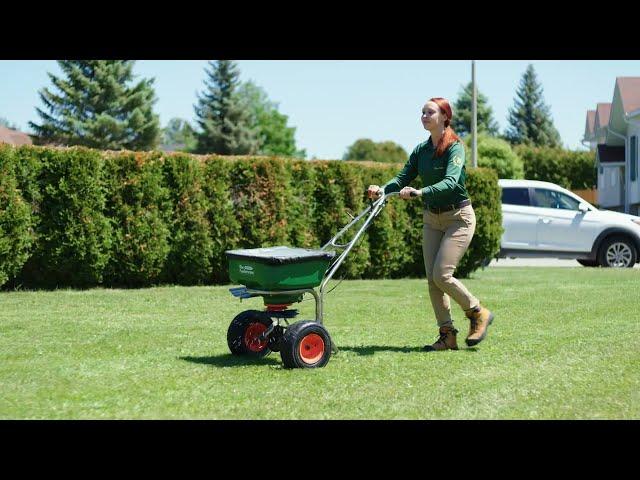 Your Weed Man Lawn Care Program