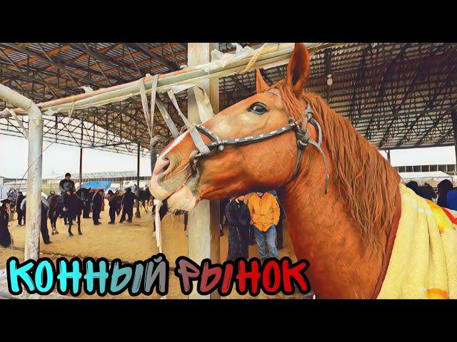 Шуро от бозор! Конный рынок Узбекистана! Horse market 2023!