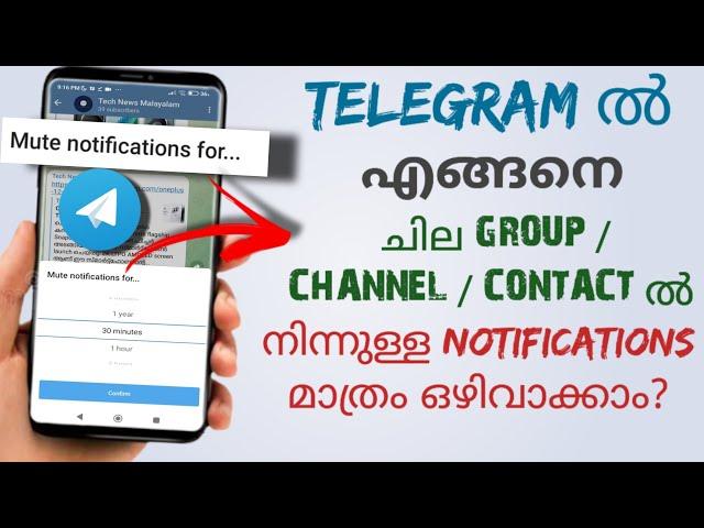 How To Disable Notification From Specific Groups Channels Or Contacts In Telegram | Malayalam