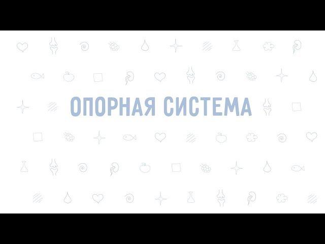 2. Опорная система . Окружающий мир - 3 класс