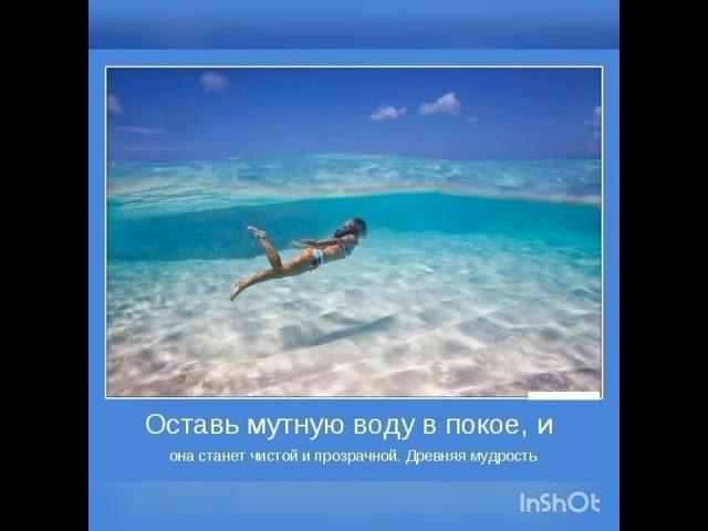 30.03.2022. Как избавиться от пситеррора . Почему это явление имеет место быть ?