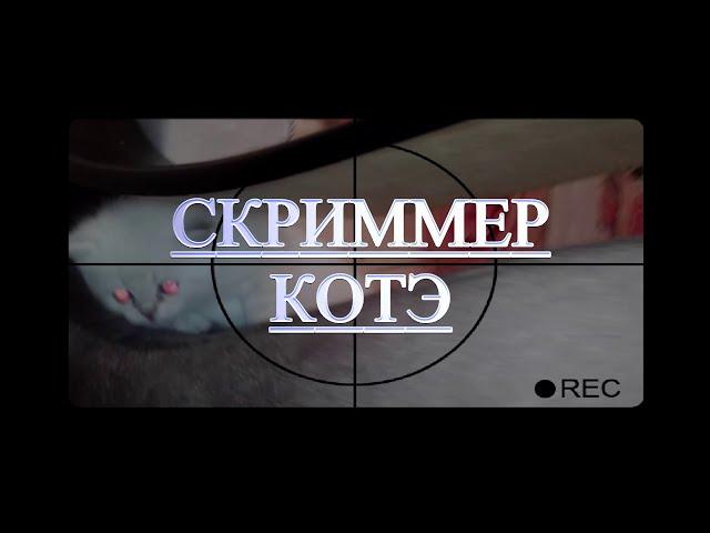 Скриммер Котэ...