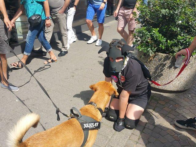 Puppy Benni on German GayPride Karlsruhe 2018 (🟡Human Pupplay🟡) #humanpupplay