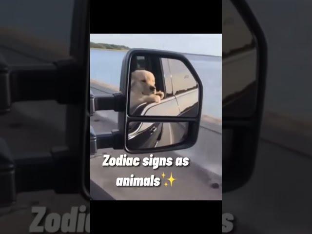 Zodiac signs as animals Part-3